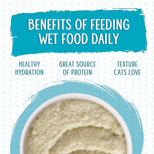 Wet Cat Food Big Time Bonus Round Pate Variety Pack (10 Ounce (Pack of 12))