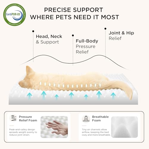 Self Warming Dog Bed Medium Size Dog with Washable Cover (30"L x 20"W x 3"Th / Ashen Brown-Self Warming Version)