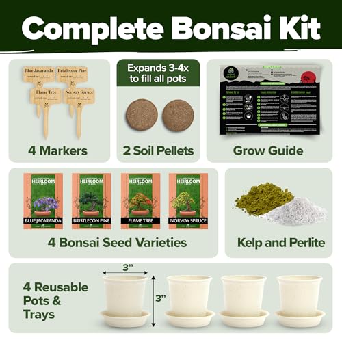 Bonsai Tree Starter Kit