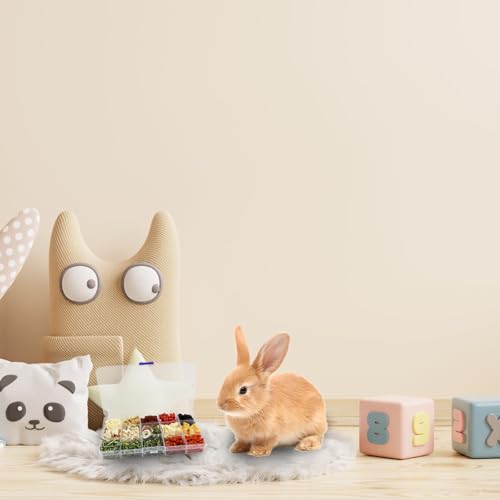 Bunny Treats Treat Box with 15 Kind of Snacks for Rabbit