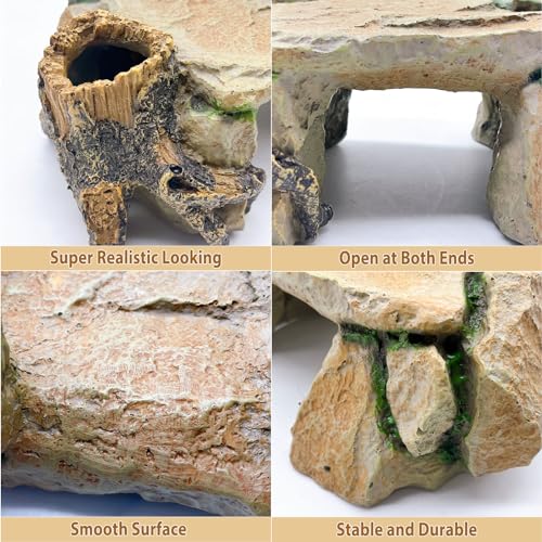 Reptile Hide Cave