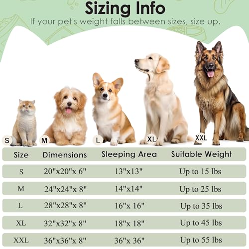 Dogs Bed for Small Dogs (Green / 24.0"L x 24.0"W x 8.0"Th)