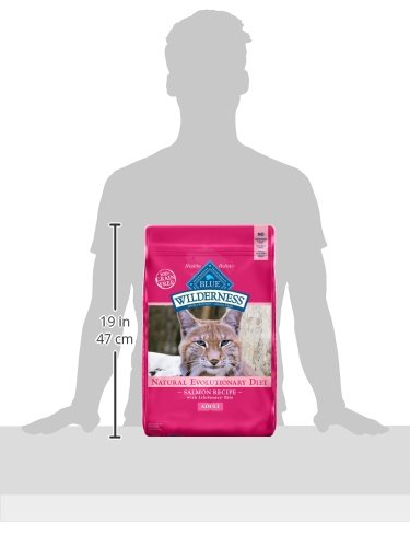 Wilderness Salmon Adult Dry Cat Food (11 Pound (Pack of 1))