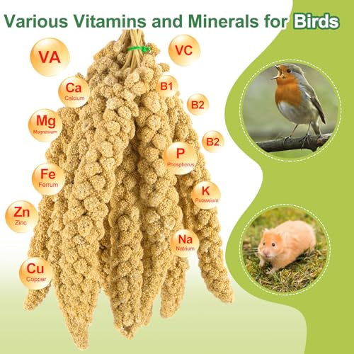 2LB Spray Millet Bird Treat for Parakeets