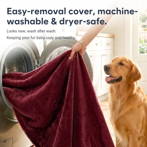 Orthopedic Medium Dog Bed 32 Inch (32.0"L x 24.0"W x 3.0"Th / Burgundy)