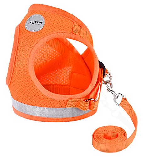 Cat Harness and Leash Set (L (Chest: 15" - 17") / Orange)