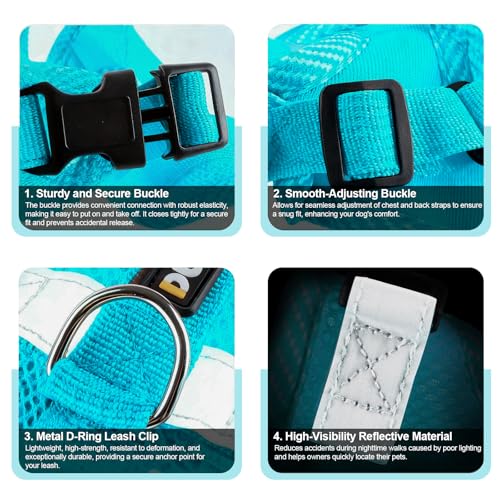 Cat Harness and Leash Set (Emerald / M)