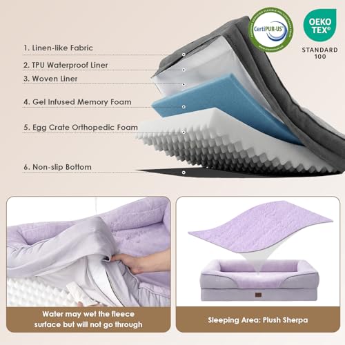 Orthopedic XL Dog Bed for Large Dog (Purple / 42x30x7.5)