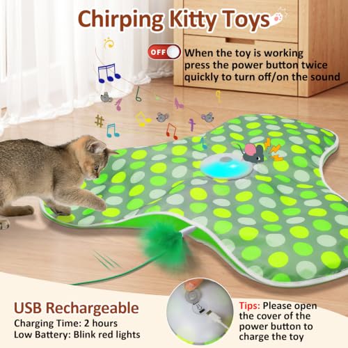 Interactive Cat Toys for Indoor Cats (Green)