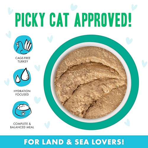 B.F.F. Play Best Feline Friend Paté Lovers (2.8 Ounce (Pack of 12))