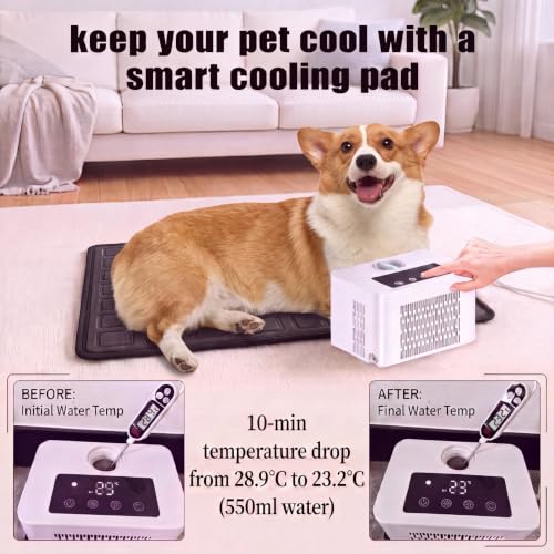 Self Heating Cooling Water Circulation Pad System for Summer and Winter (26)