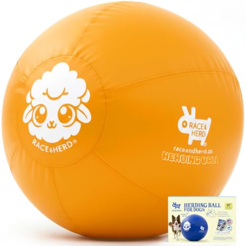 22" Original Herding Ball for Dogs (Gold - M 22" Herding Ball Set / M 22")