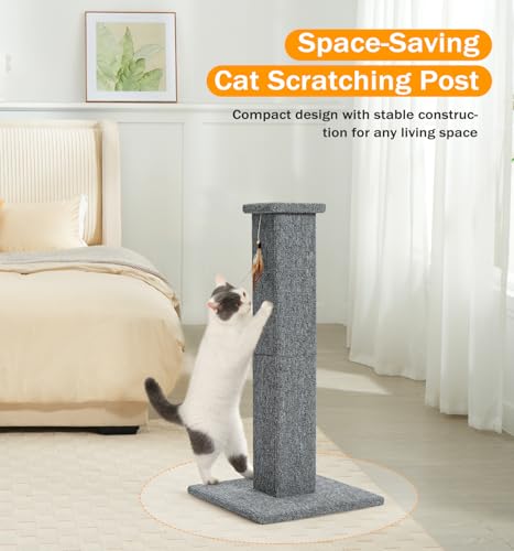 Made4Pets Cat Scratching Post for Indoor Cats (Grey-Carpet)