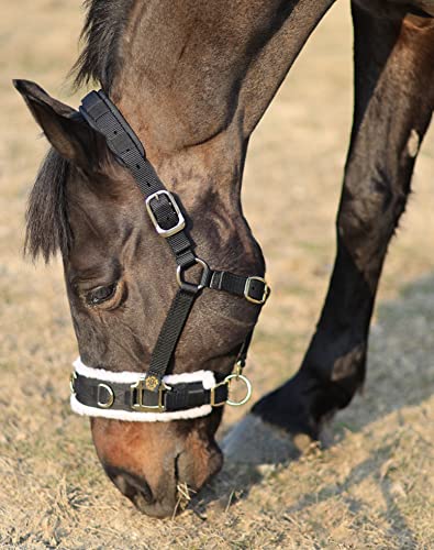 Lunge Cavesson with Fleece Lined Nose Band and Crown (Black / Cob)