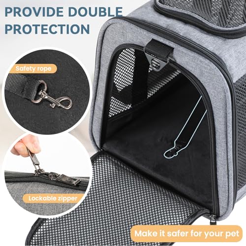 Large Cat Car Carrier (19.0"L x 12.0"W x 12.0"H / Z-Gray)