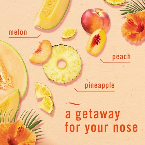Small Spaces Air Freshener (1 Count (Pack of 2))