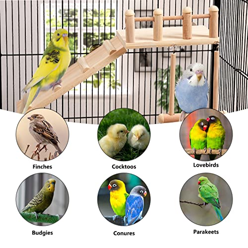 Bird Perches Platform Swing with Climbing Ladder