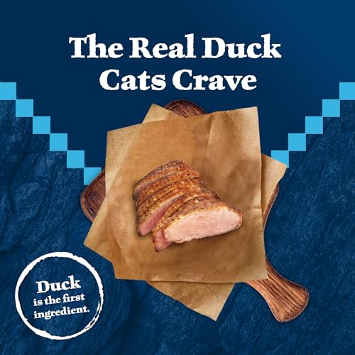Blue Buffalo Wilderness Duck Adult Dry Cat Food