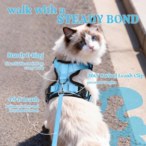 Cat Harness and Leash Set (Xs / Light Blue)