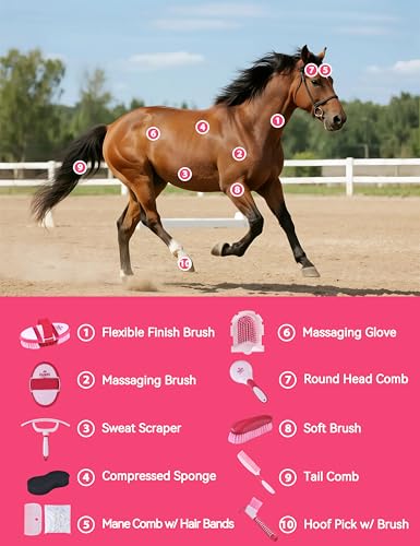 Horse Grooming Kit (Pink Garnet)