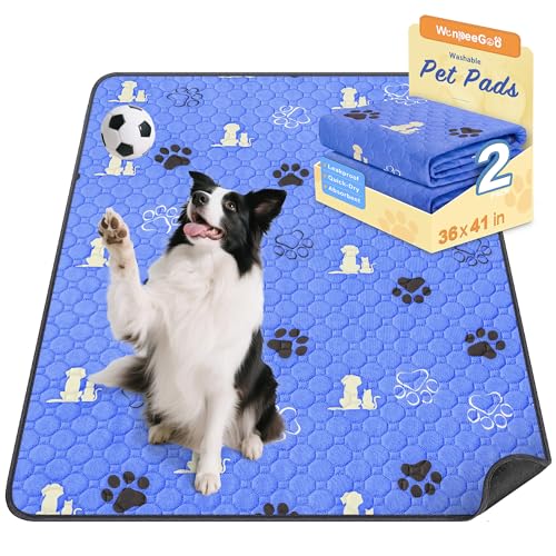 Washable Pee Pads for Dogs (Blue / 36"x41" (Pack of 2))
