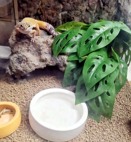 Fake Reptile Plants for Terrarium (Swiss Cheese)