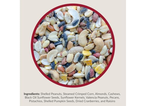 Fruit and Nut Wild Bird Seed for Outside Feeders (5 Pound (Pack of 1))