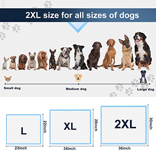 XXL Thicken 6 Layers Heavy Absorbent 30"x36" Pet Training Dog Pee Pads (Regular - 30"x36")