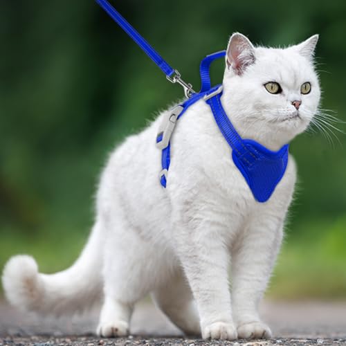 Cat Harness and Leash Set Escape Proof for Kitten Walking (X-Small / Sapphire Blue)