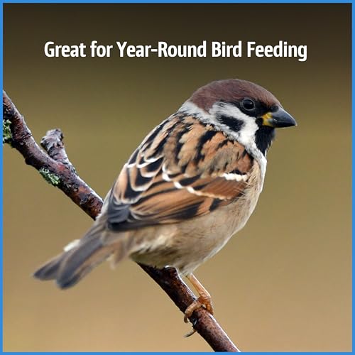 Select Chips & Bits Wild Bird Seed for Outside Feeders 15 (15 Pound (Pack of 1))