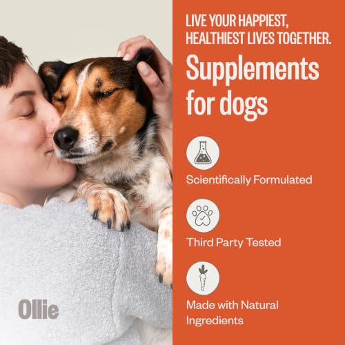 Zoomies Hip & Joint Supplement