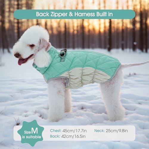 Dog Coat for Large Dogs (Mint Green / XL(chest:30in）)