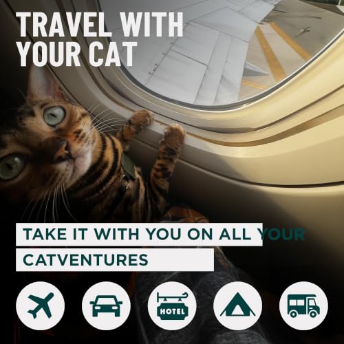 Go Litter™ Portable Travel Litter Box for Cats (Large Tray)