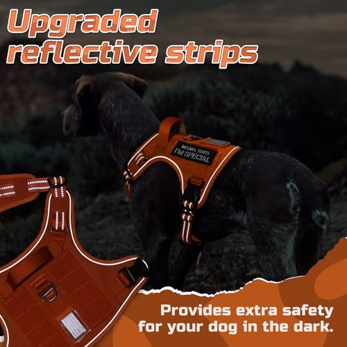 Tactical Dog Harness for Small (Orange / Small)