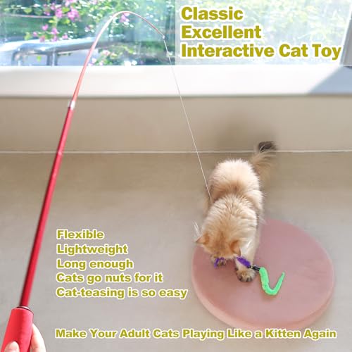 Cat Toys for Indoor Cats