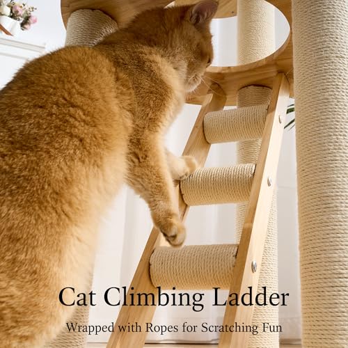 Wood Modern Cat Tree (62 Inch)