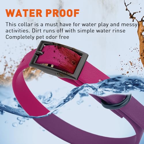 Biothane Waterproof Dog Collar Strong Coated Nylon Webbing with Black Hardware Odor (W1/2" x L9-12" / Magenta Pink)