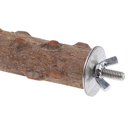 Natural Prickly Ash Wood Perch Bird Paw Grinding Stand (7.86 inch)
