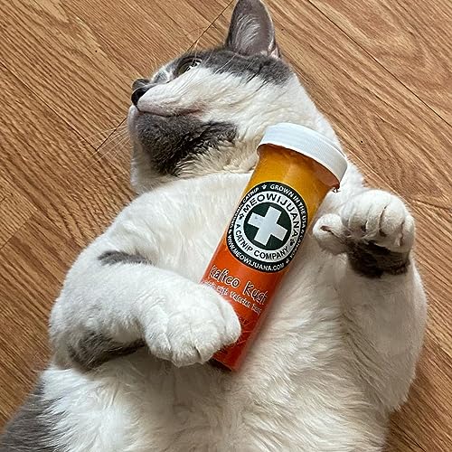 Good Vibes Kalico Kush Catnip Blend