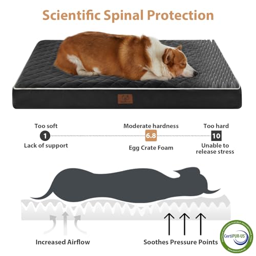 Orthopedic Waterproof Dog Bed Medium for Comfy Sleeping (black / 30"L x 20"W x 3"Th)