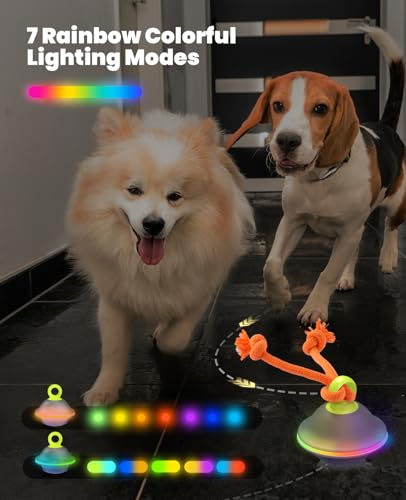 Interactive Dog Ball with Rope (Blue)