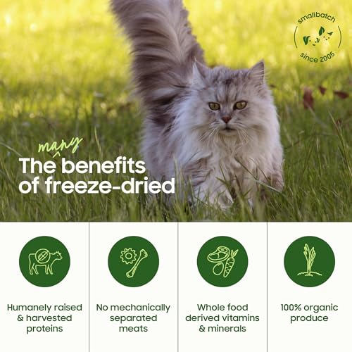 Freeze Dried Raw Cat Food (10 Ounce (Pack of 1))