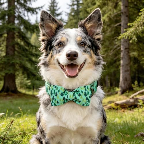 Dog Collar Green Pine Tree Print Dog Collar with Bow (Pine Tree / Medium (Pack of 1))