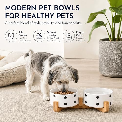 Ceramic Dog Bowl Set with Stand (Black Dot / 400ML*2)