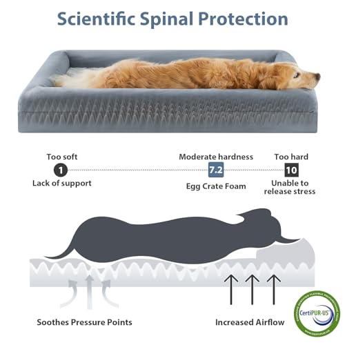 XXXL Big Large Orthopedic for Senior Dog Bed Comfy Sleeping (Grey / XXX-L (53x43x7.5in))