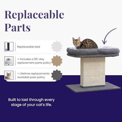 Cat Perch with Washable Replaceable Bed & Wide Sisal Scratching Post
