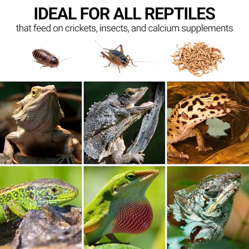 Cricket Calcium Powder Mixer for Reptiles
