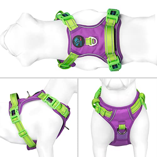 No Pull Dog Harness (Purple Base & Green Straps / Extra Small)