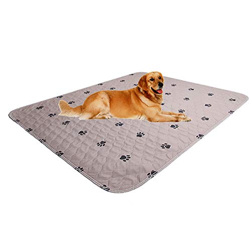 Washable Dog Pee Pads with Puppy Grooming Gloves (72x72 Inch (Pack of 1))