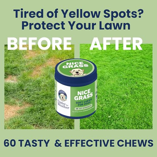 Nice Grass Chews for Dogs